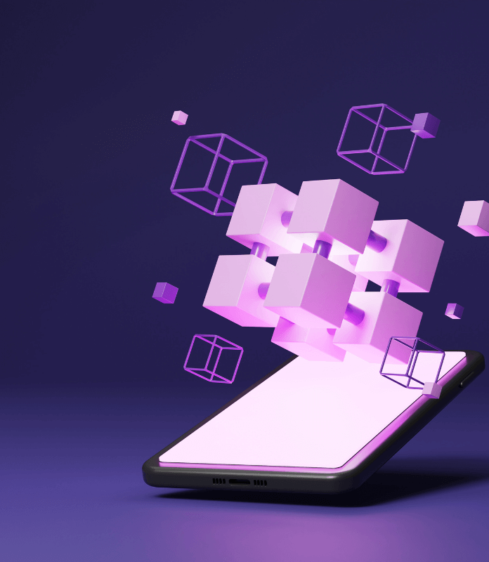 Semi Closed Wallet App Development